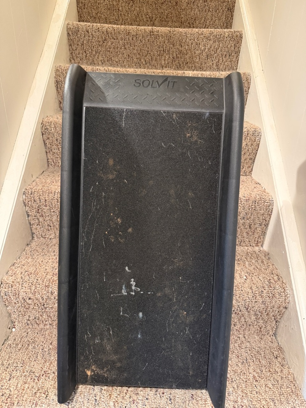 SOLVIT Black Pet Ramp